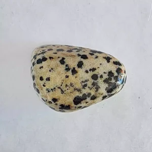 A single Dalmation Jasper Tumbled and Polished Stone