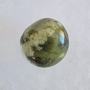 A single Serpentine Tumbled and Polished Stone