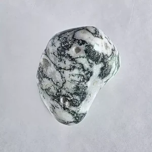 A single Tree Agate Tumbled and Polished Stone