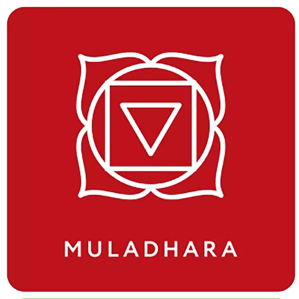 Root Chakra